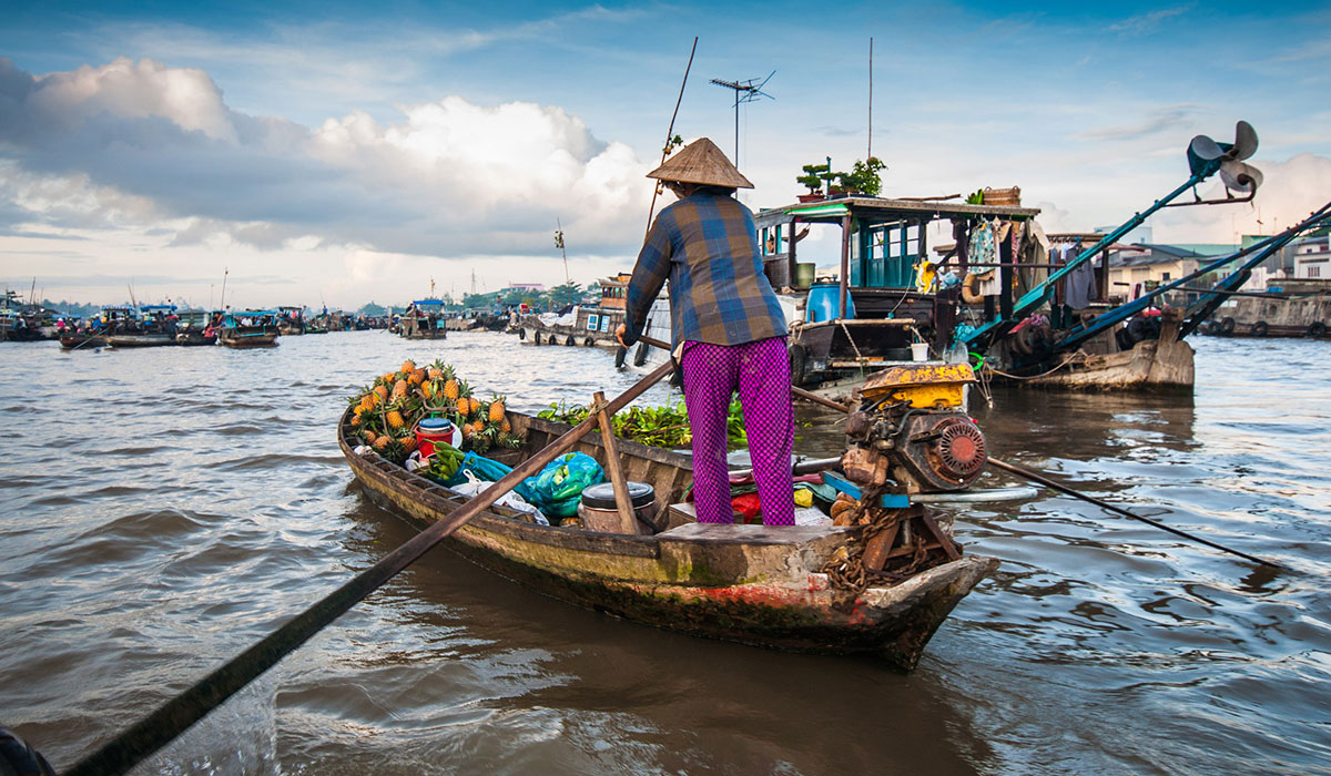 250 cho noi cai rang